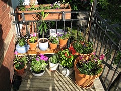 Arranging pots in a balcony garden